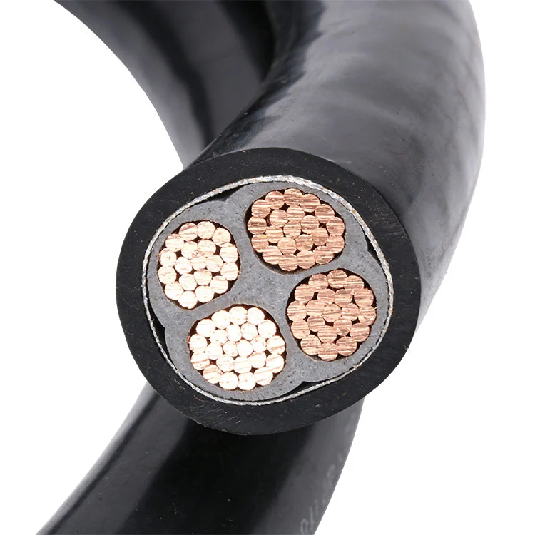 CCC Purgamentum vaginatus filum